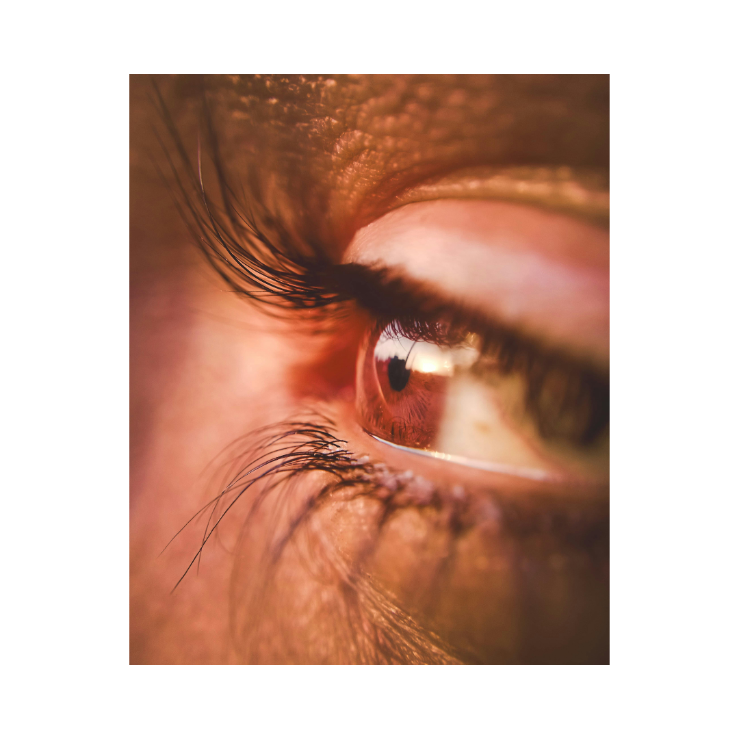 Lash Lift Ergebnisse – Studio Mona Lisa